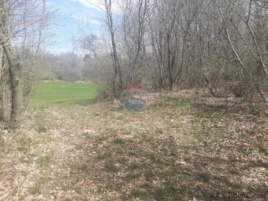 Istra, Žminj okolica građevinska parcela - 2