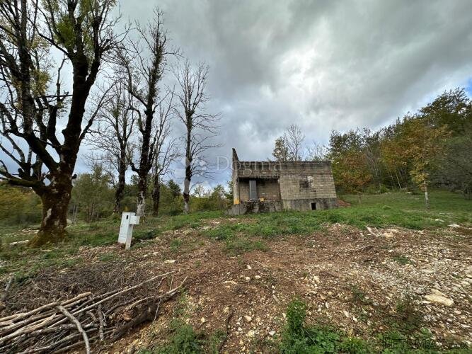 SV ROK GRAĐEVINSKO ZEMLJIŠTE 50000 m2 - 2