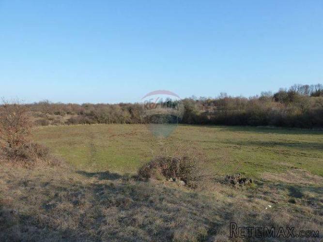 ISTRA, GALIŽANA, poljoprivredno zemljište - 2