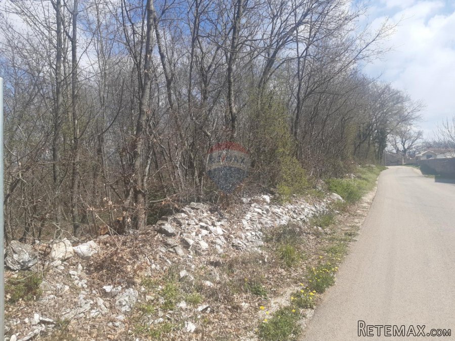 Istra, Žminj okolica građevinska parcela - 3