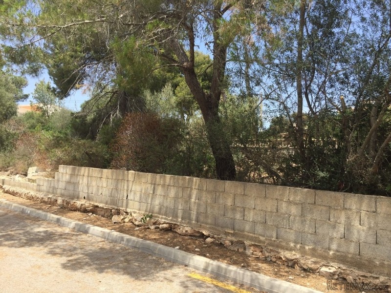 Plot with license and project in Cala..