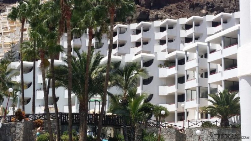 1 Bedroom Apartment in Playa del Cura