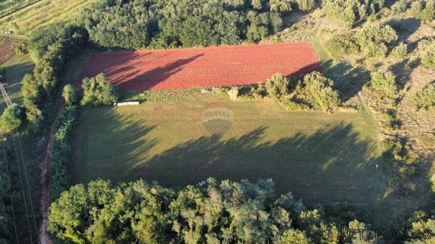 Istra, Brtonigla, 25109 m2 poloprivredno zemljište
