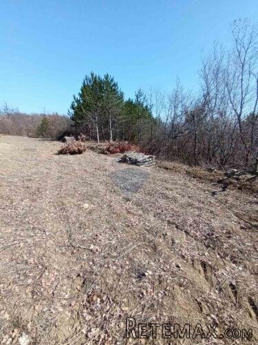 Istra, Buzet, poljoprivredno zemljište i šuma - 5