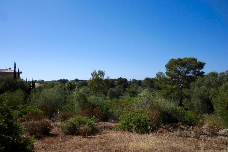Opportunity: Plot in residential area.. - 2