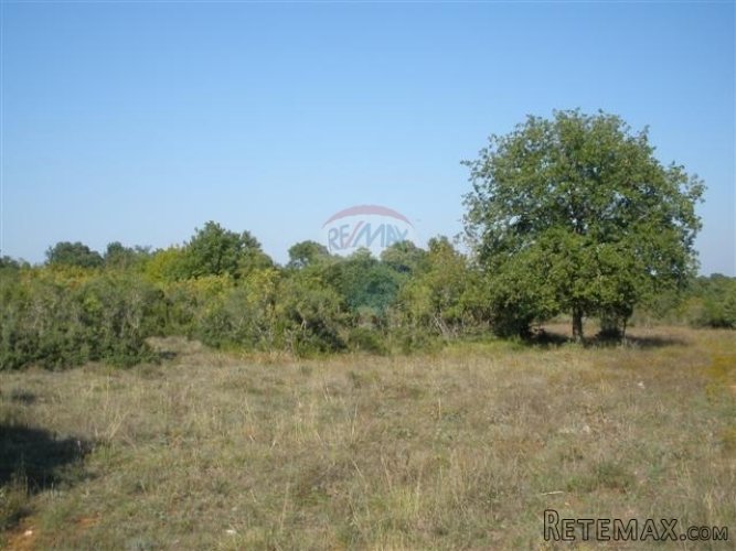 Pula, Galižana, poljoprivredno zemljište 115000 m2 - 2