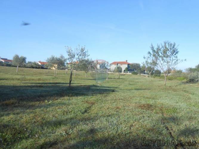 Istra, Vodnja, Galižana, velika parcela (5520 m2) na rubu... - 5