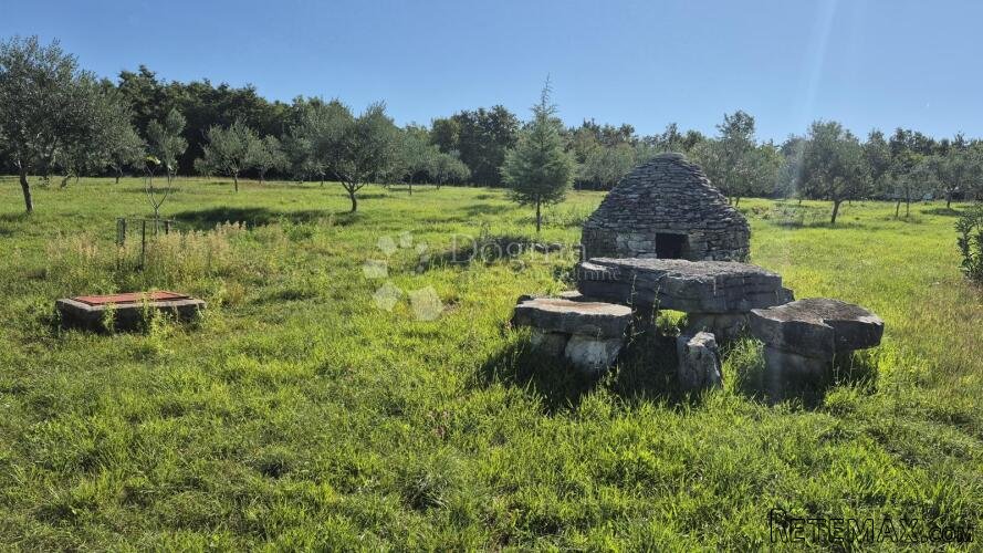 Poljoprivredno zemljište sa istarskim kažunom i maslinama 13 - 3