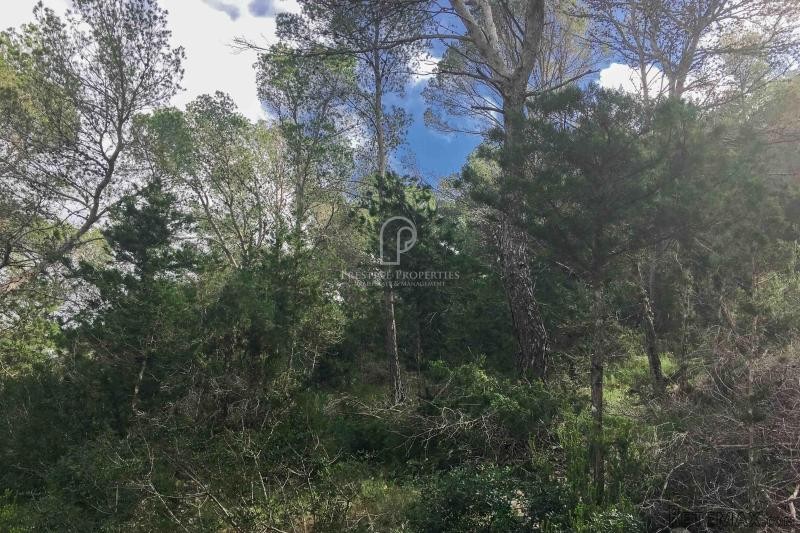 Large plot with license and project in.. - 2