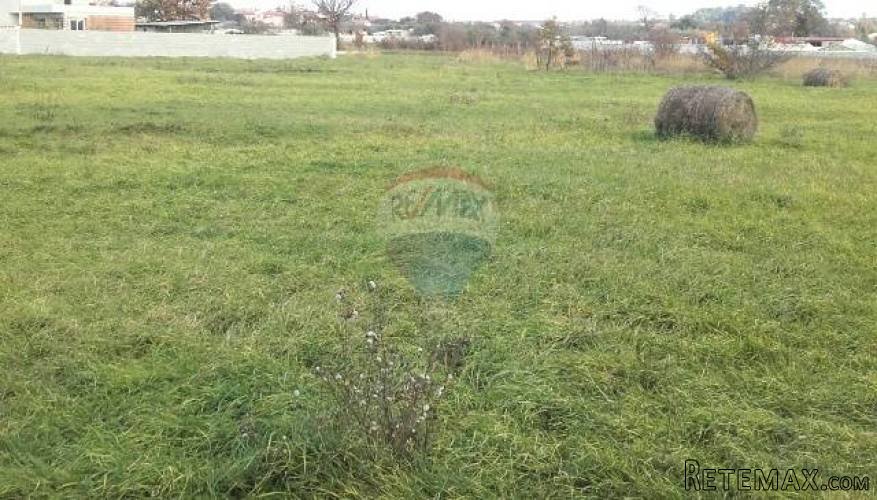 ISTRA, PULA, negrađevinsko zemljište 3km od strogog centra