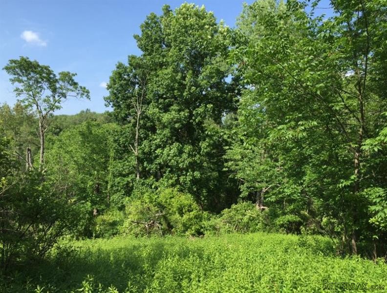 Land For Sale: Camby Rd Verbank NY 12585 - 2