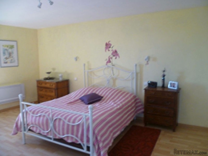 Large Renovated Village House & Barn.. - 2