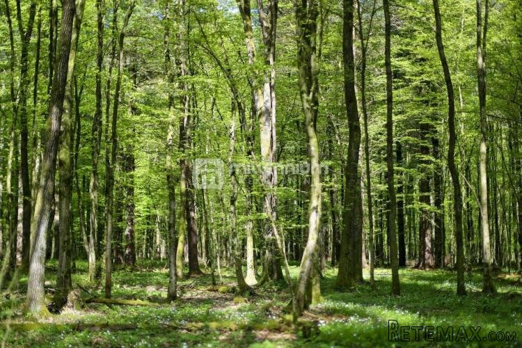 Ogulin, Tounj, 17.425m2, zemljište turističke namjene - 2