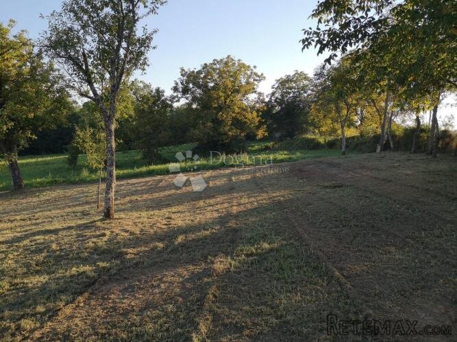 Donji Hrastovac- kuća sa velikim zemljištem - 3