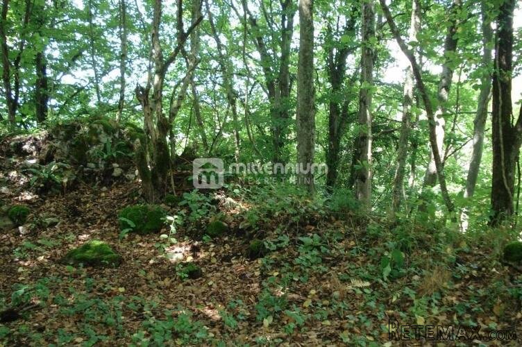 Ogulin, Tounj, 17.425m2, zemljište turističke namjene - 3