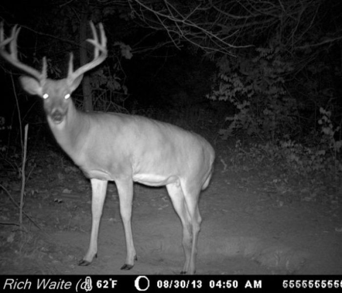 Southeast Iowa land for sale! 5254..