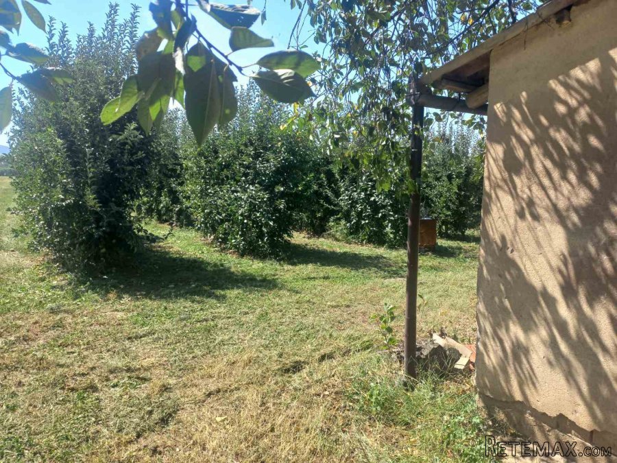 Vikendica,hladnjaca i 57ari pod vocem-Bela Crkva - 5