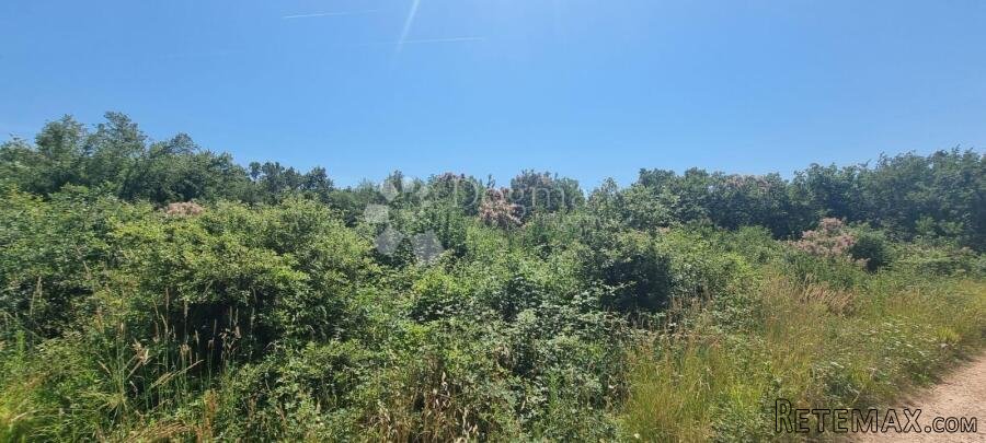 Poljoprivredna parcela sa šumom u Taru
