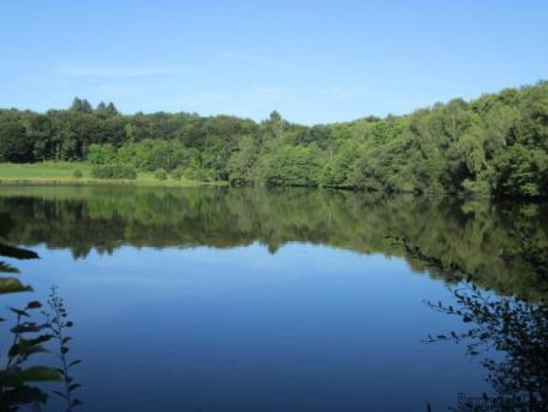 House with Lake and Land For Sale - 2