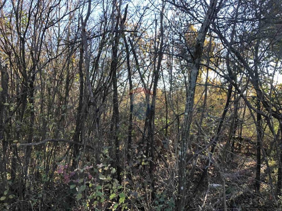 Istra, Labinci- Poljoprivredno zemljiste na granici za grade - 2