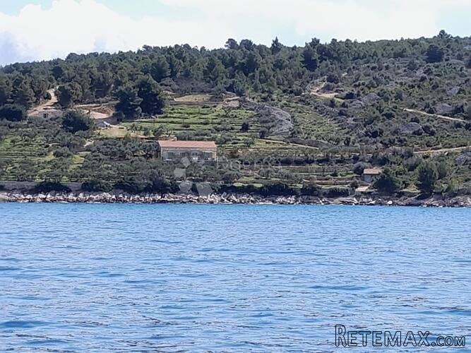 POLJOPRIVREDNO ZEMLJIŠTE IDEALNO ZA OPG, 150 M OD MORA - 2