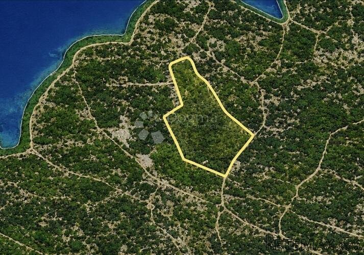 POLJOPRIVREDNO ZEMLJIŠTE IDEALNO ZA OPG, 150 M OD MORA - 3