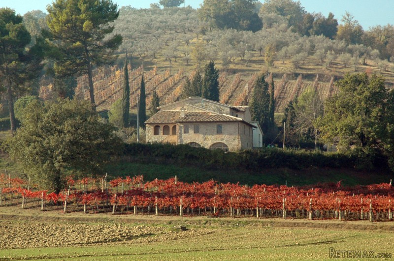 House - Umbria - For Sale