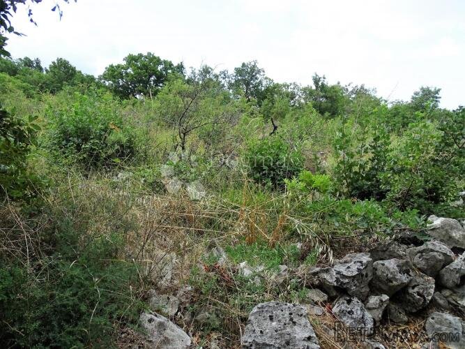 Šmrika - teren za obiteljsku kuću s pogledom na more - 4
