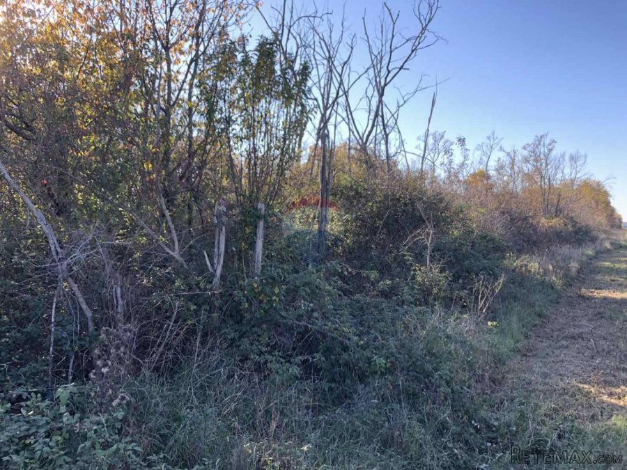 Istra, Labinci- Poljoprivredno zemljiste na granici za grade - 5