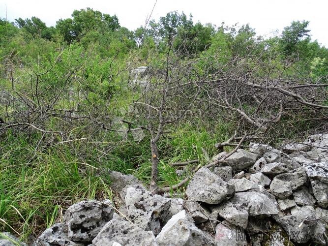 Šmrika - teren za obiteljsku kuću s pogledom na more - 5
