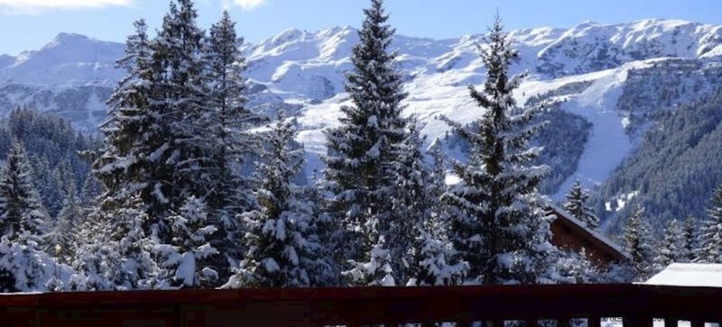 Meribel Ski Apartment