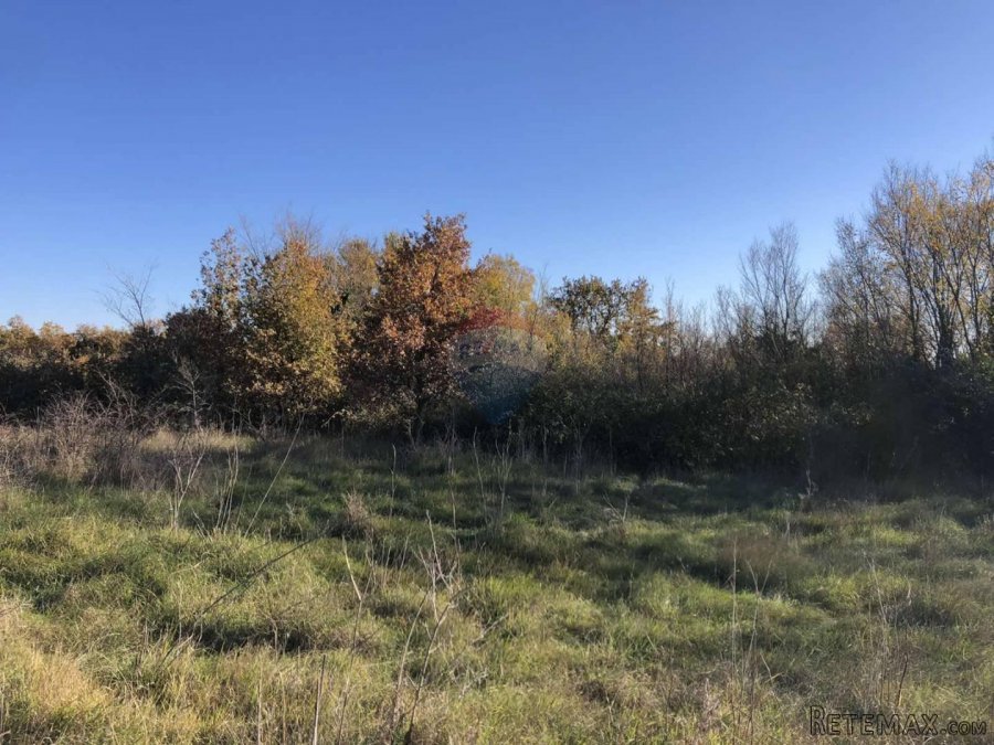 Istra, Kastelir- Poljoprivredno zemljiste sa pristupnim puto - 2