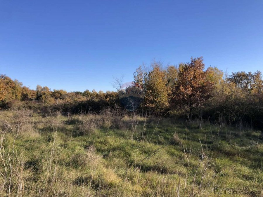 Istra, Kastelir- Poljoprivredno zemljiste sa pristupnim puto - 3