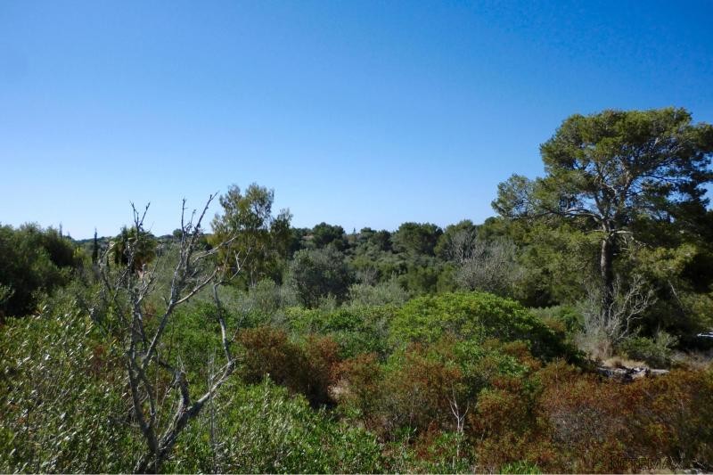 Opportunity: Plot in residential area..