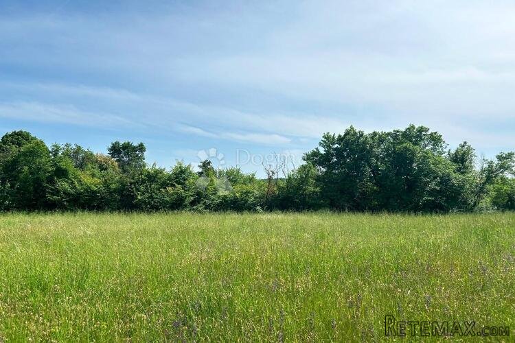 BARBAN – atraktivno zemljište, asfaltni prilaz, infrastruktu