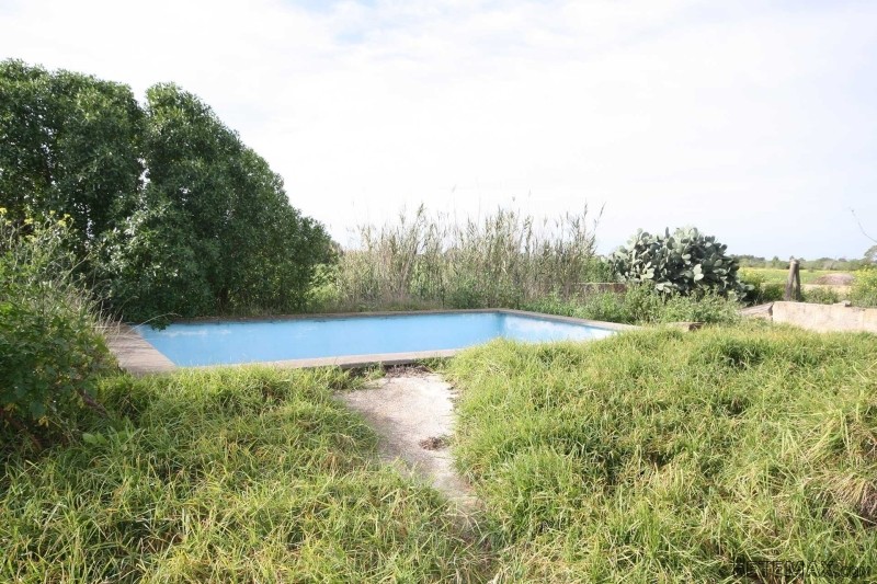 Plot near Campos