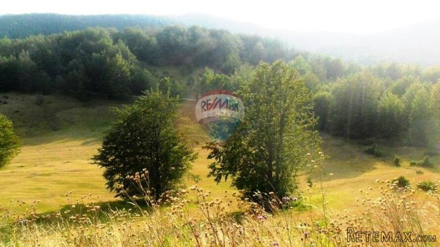 Lepenice - Jelenje, građevinski teren od 5004m2 - 3