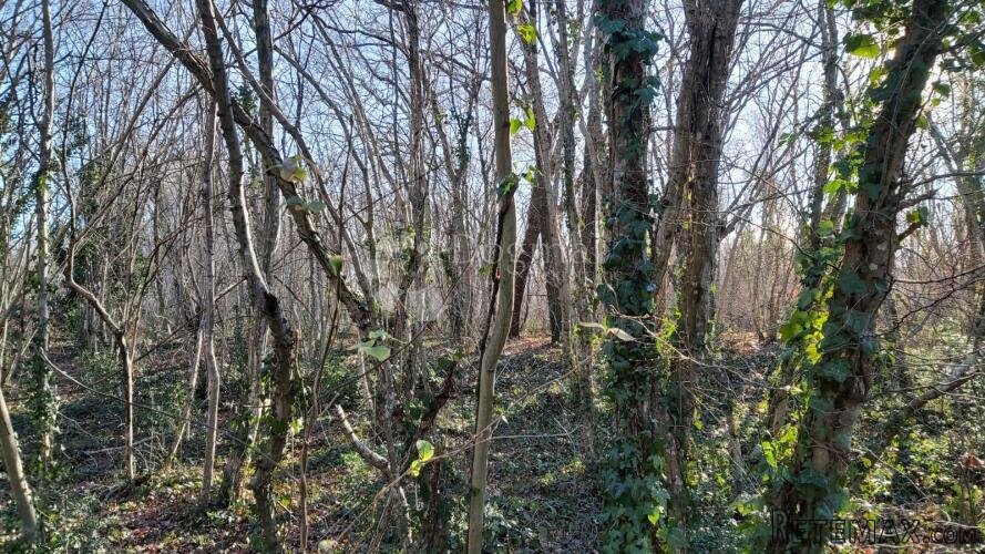 Poljoprivredno zemljište uz asfaltiranu cestu - 3