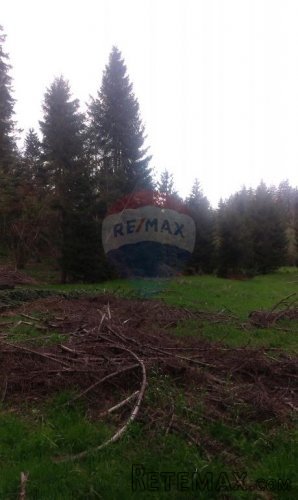 Delnice -Lučice poljoprivredni teren - 4