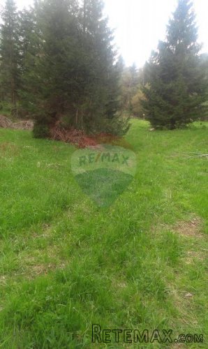 Delnice -Lučice poljoprivredni teren - 6