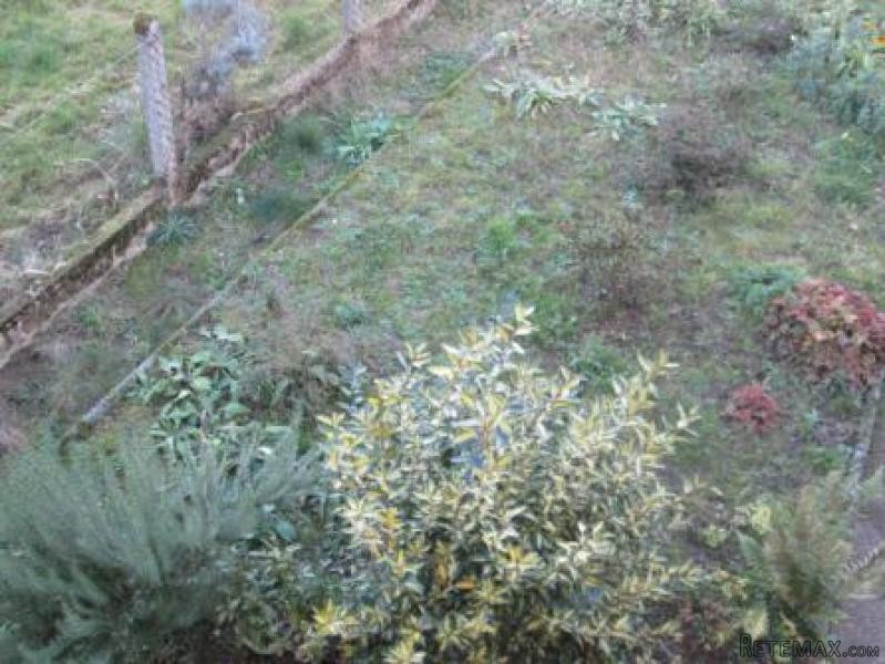 House For Sale in Good Order - 2