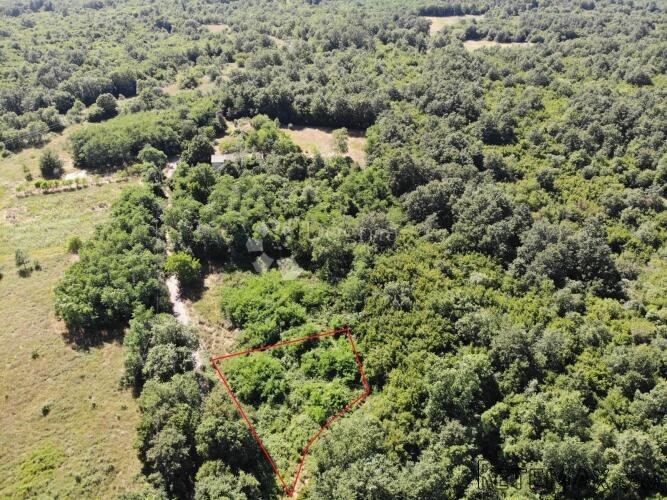 Građevinsko zemljište s dozvolom na TOP lokaciji, Poreč