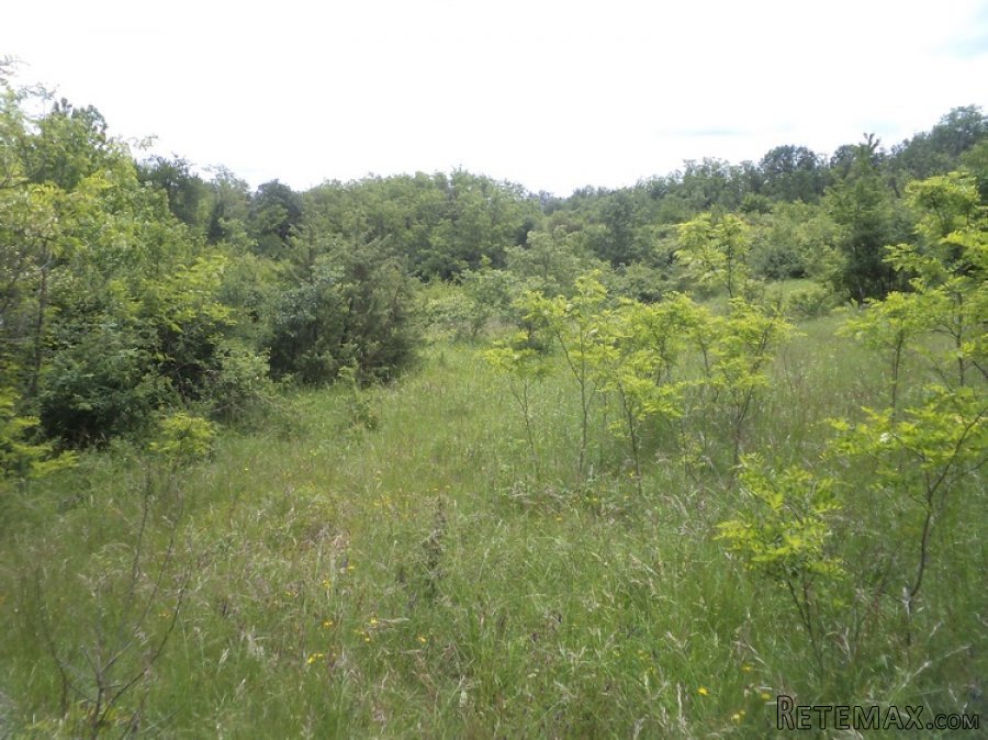 Istra zemljište za prodaju 19.285 m2 - 13