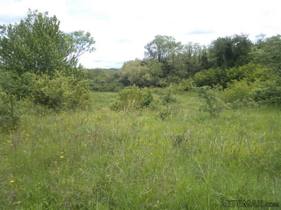 Istra zemljište za prodaju 19.285 m2 - 7