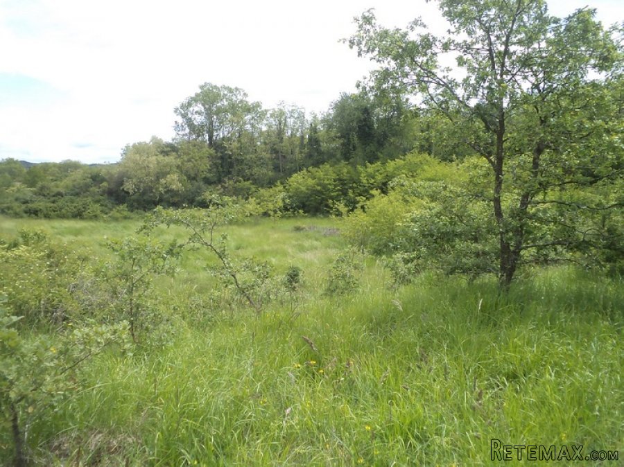Istra zemljište za prodaju 19.285 m2 - 14