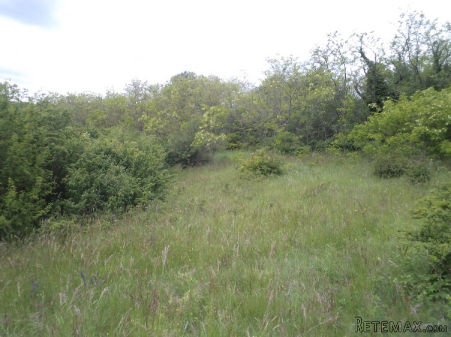 Istra zemljište za prodaju 19.285 m2 - 15