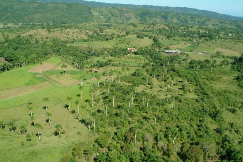 Farm In Jamao For Sale - 2