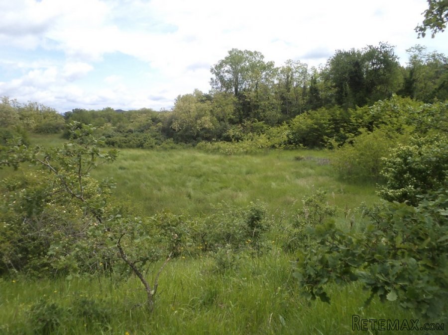 Istra zemljište za prodaju 19.285 m2 - 16