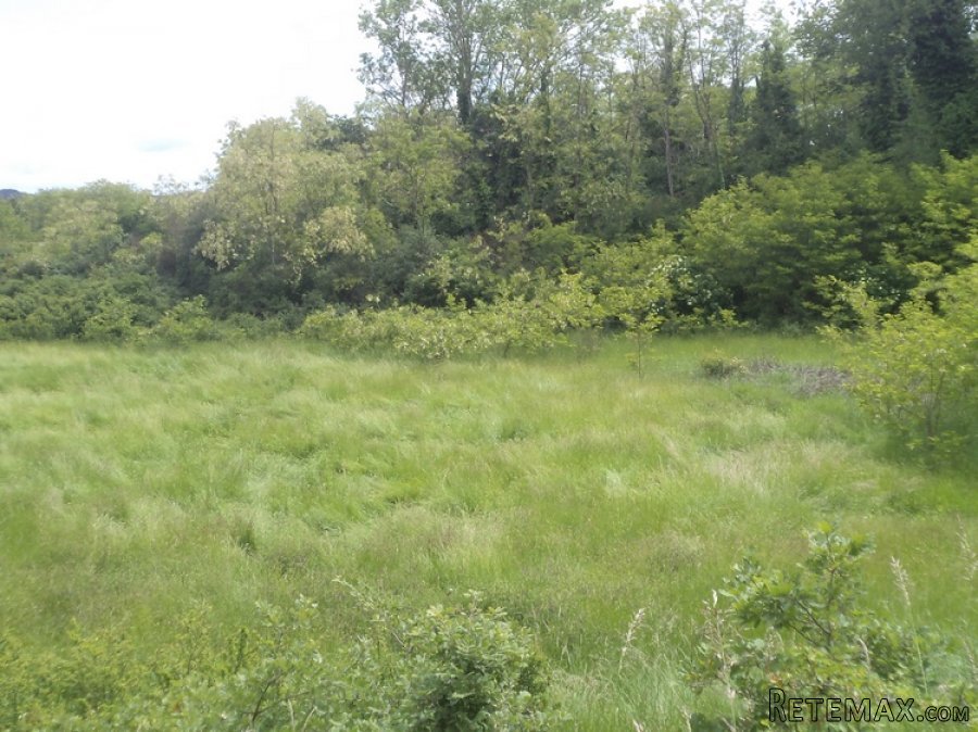 Istra zemljište za prodaju 19.285 m2 - 17