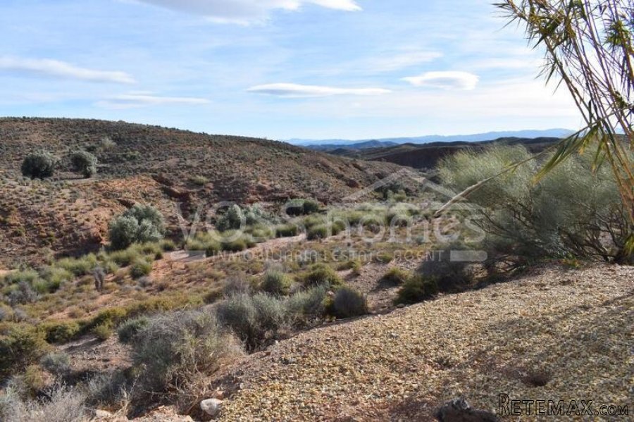 RESERVED MARCH 2022 WITH VOSS HOMES - Country Villa of.. - 17